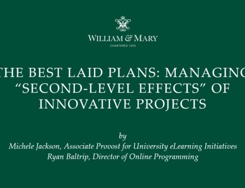 Managing Second-Level Effects of Innovative Projects